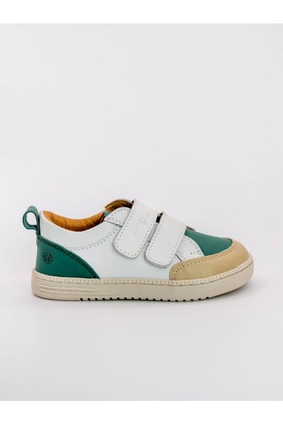 ERDA Eris Green