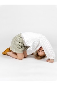 ERDA Camel