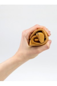 ERDA Camel