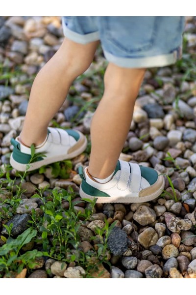 ERDA Eris Green
